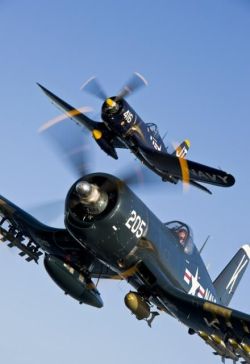 michell169:  F4-U Corsair 