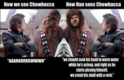 donthatethegeek:  How we see Chewbacca compared to how Han sees Chewbacca