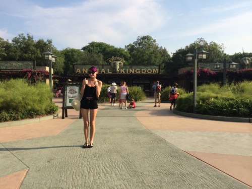 c-atty:  A while back I went to Animal Kingdom. And I just had to do it.