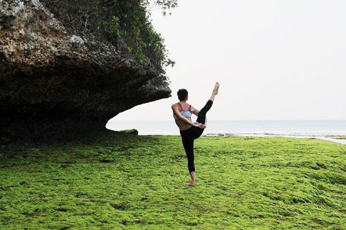 Lone bird in a beautiful paradise. | #birdsofparadise #stretch #stayopen