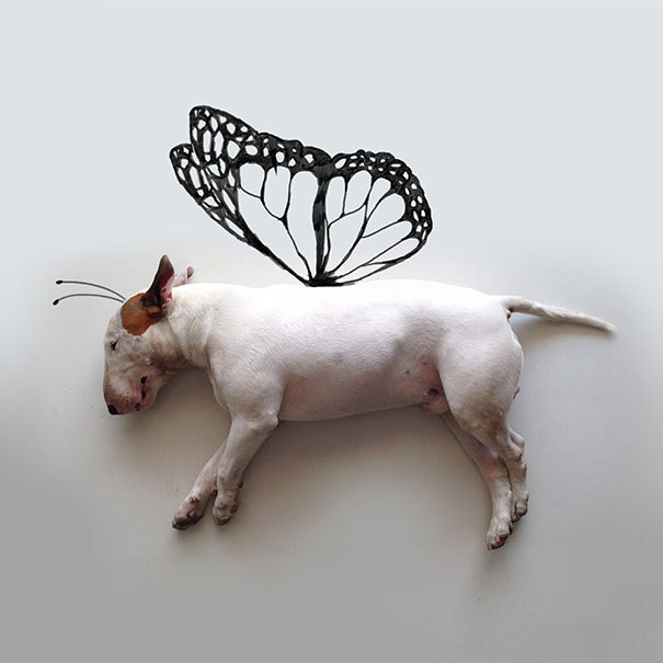 the-awesome-quotes:  My Wife Left Me With Nothing But A Dog, So I Started This Fun