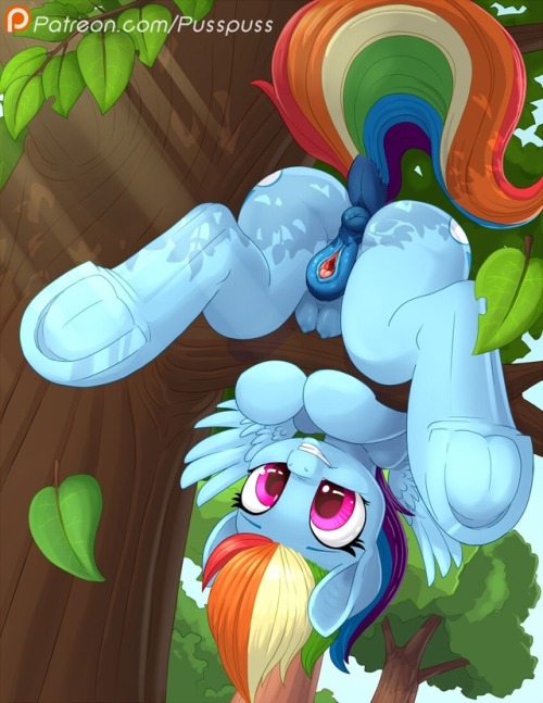 lovecloping: Here’s rainbow dash giving you stallions and mares a nice view of her perfect plo