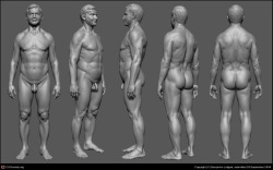 fucktonofanatomyreferencesreborn:  An epic fuck-ton of average male body types. [From various sources] 