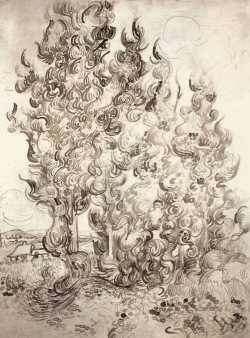 artist-vangogh:  CypressesMedium: ink,paperhttps://www.wikiart.org/en/vincent-van-gogh/cypresses-1889-2