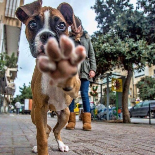 theprincessallieee:phototoartguy:“I said no photos!”Reddititalianguy617
