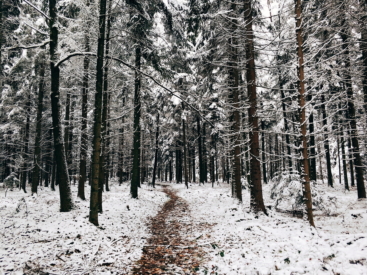 marcel1900:Murrhardt, Germany ⛄❄