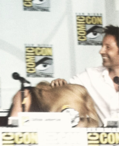 lanaprrilla:  David Duchovny and Gillian Anderson @ SDCC 2013  Anderson: “A lot of women have come up to me and told me they went into Physics because of Scully.“  Duchovny: "Men often come up to me and say they got into Scully because of