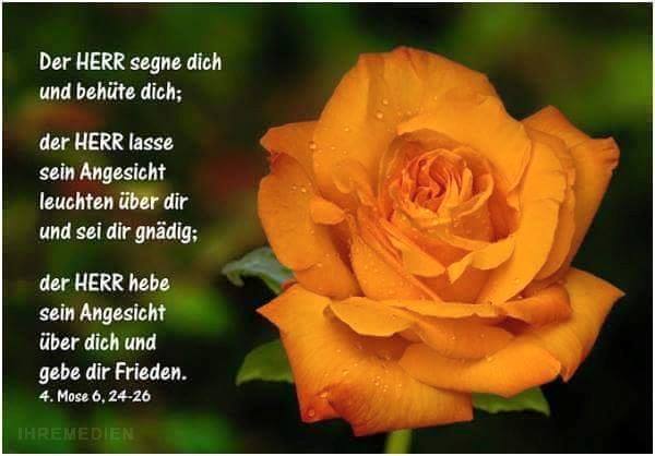 Unbetitelt — Mit dem folgenden Gedicht von Elli Michler wünsche
