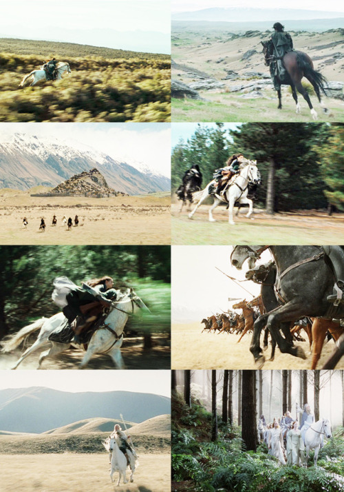 jrrtolkiens:Their horses were of great stature, strong and clean-limbed; their gray coats glistened,