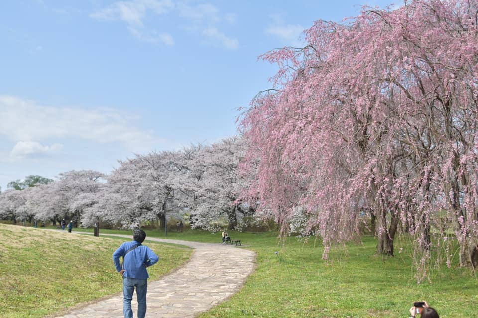 展勝地公園 Explore Tumblr Posts And Blogs Tumgir 展勝地公園 Explore Tumblr Posts And Blogs Tumgir