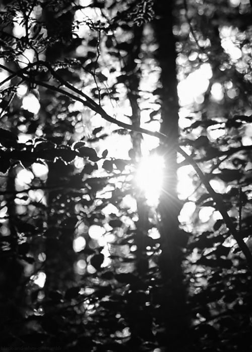 Black and White GIFs