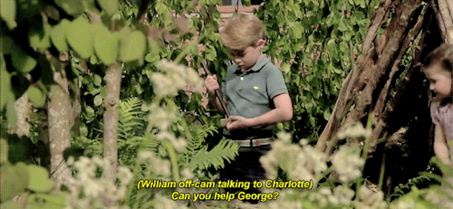 theroyalsandi:As Charlotte ran around the garden, George was playing in the den and William can be h