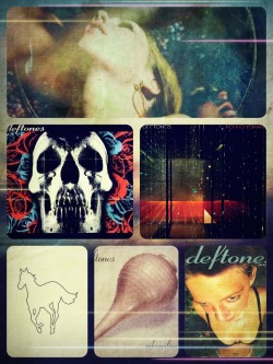 deftonesfansworldwideunited:  jasherbear:  Deftones are life. A never ending blend of seductive and carnal music escape through my speakers when I play these albums.  I feel the exact same way Deftones are like oxygen to me