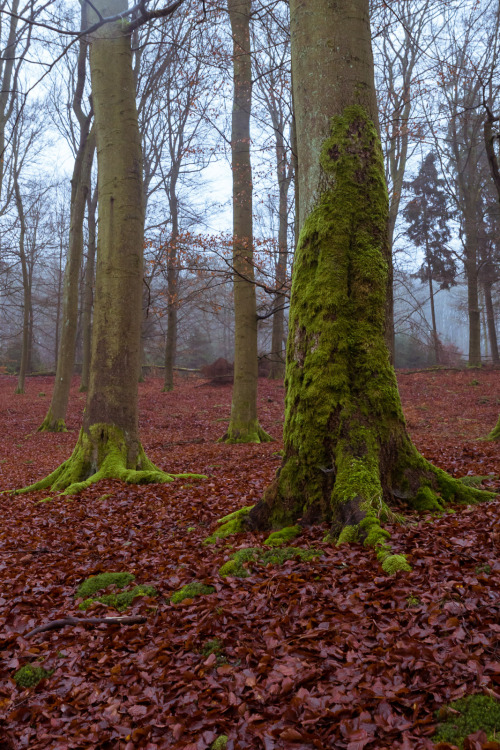 marcel-photos: Hiking Impressions - Edersee, Hessen, Germany Photography by Marcel Briefs, 2015, CC 