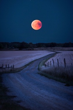 maureen2musings: Moon over south Sweden lindstenfoto 