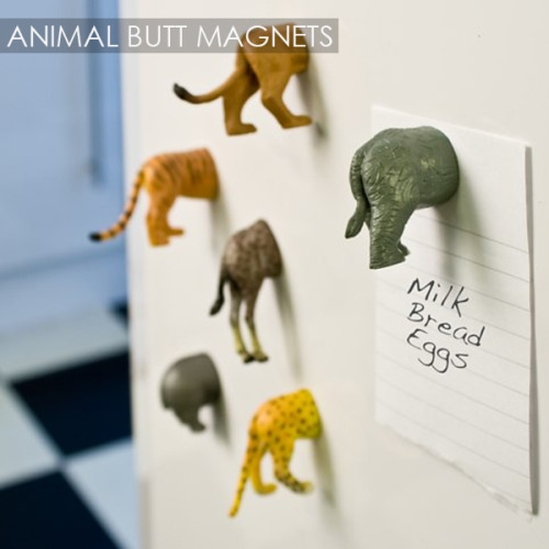 ladycopsohot:  613bby:  samousrulez:  epicallyfunny:  Everything on this list can be yours by heading over to atmost20.com/CoolKitchen.  Animal Butt Magnets is a must in every household!  Give me all of these please  I NEED EVERY SINGLE ONE OF THESE 