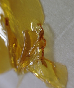 spaceoracle:  every dab tastes like limes some of the best BHO I’ve ever had the pleasure of dabbing