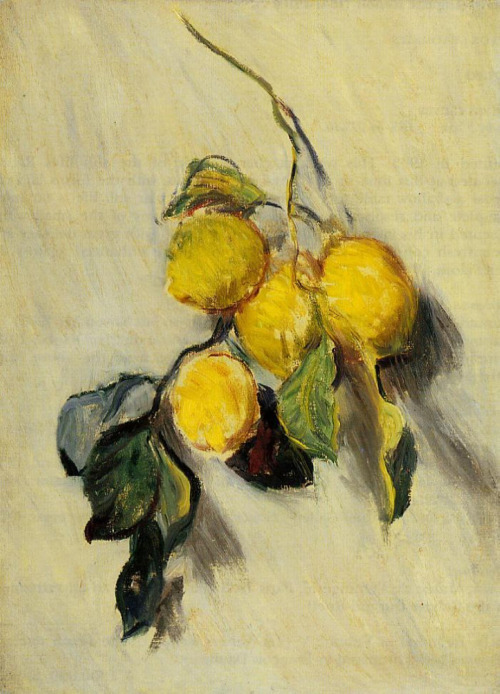 thepaintinghasalifeofitsown:Claude Monet: Branch of Lemons