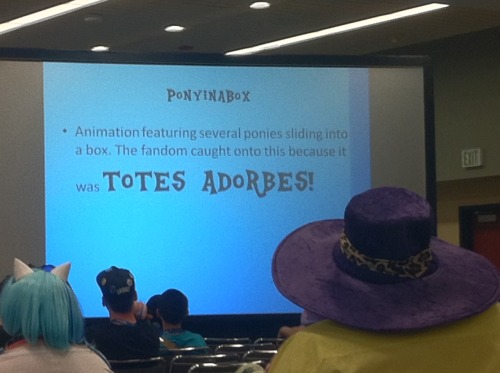 shutthefuckupotherkin:steveholtvstheuniverse:highlights from the pony memes panel at bronyconI feel 