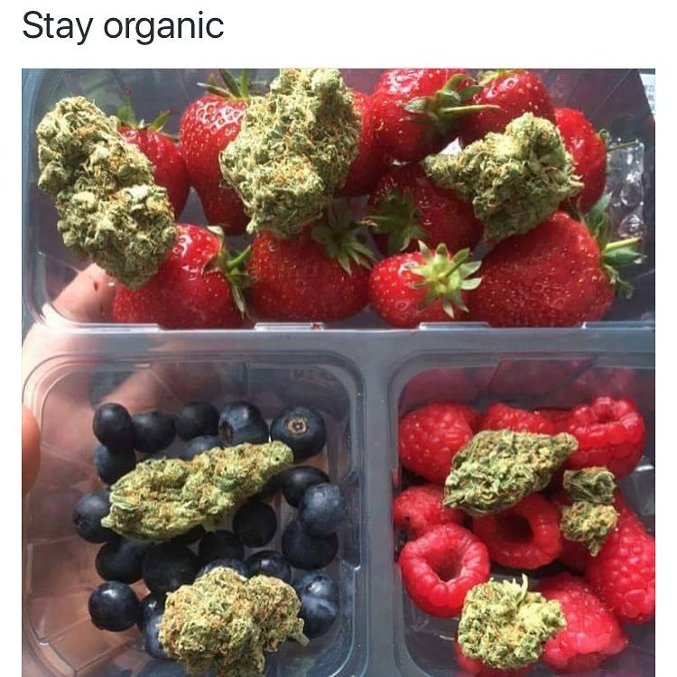 Weed Bible
