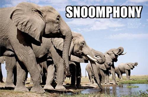 snoomphs, for World Elephant Day