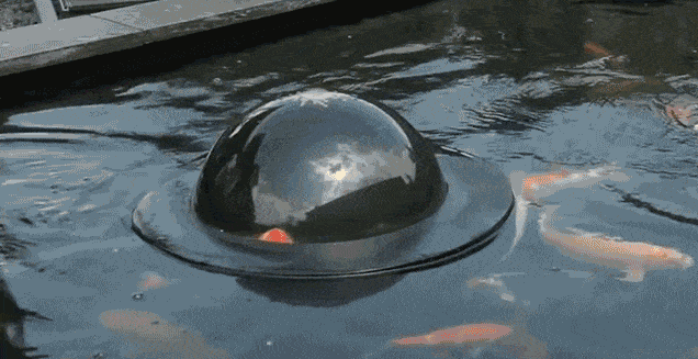 tumblesheeb:  boredpanda:    Floating See-Through Dome Lets Fish Look At The Outside World    gaze into the ﻿Ｆ  Ｉ  Ｓ  Ｈ  Ｏ  Ｒ  Ｂ and let its inhabitants judge you 