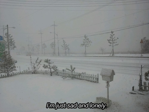 lilac-fumes:  click here if you’re lonely, i’ll try to be a friend