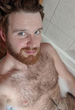 thefurryforest: