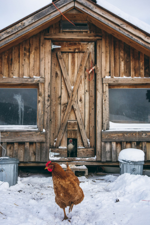 The Hen House. #FilsonLifePhotography by Charles Post for Filson Life