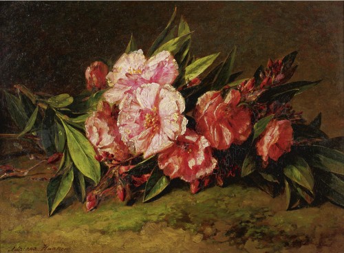 art-and-things-of-beauty:Adriana Johanna Haanen (Dutch, 1814-1895) - Azalea Blossoms on a Ledge, oil