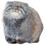 friedcock