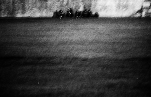 tenpicturesofyou:Fabrizio MusuA forestfabriziomusu.tumblr.com