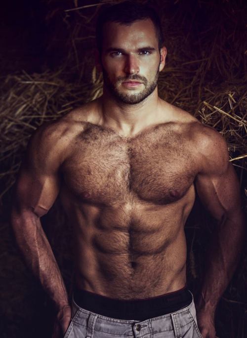 'STACHE & BEARD WONDERFUL HAIRY MEN