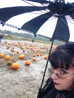 gothiccharmschool:  I’m not entirely sure this is the most sincere pumpkin patch around. Possibly the muddiest. 