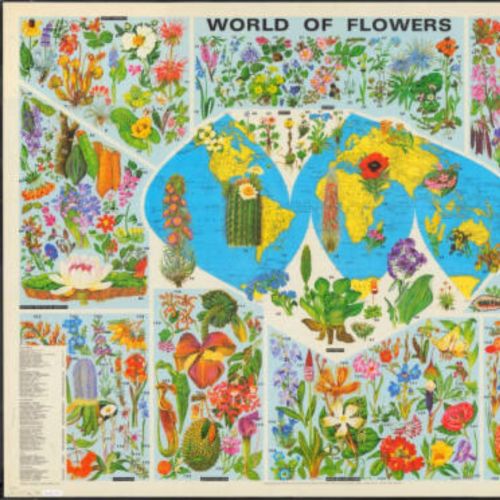 This map, World of Flowers, was produced by John Bartholomew and Son. It is based on Barbara Everard