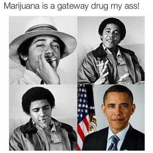 Weed Bible