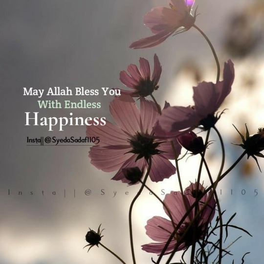 May allah bless you with endless happiness artinya