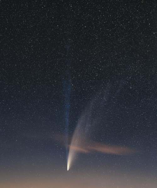 the-wolf-and-moon:Comet NEOWISE