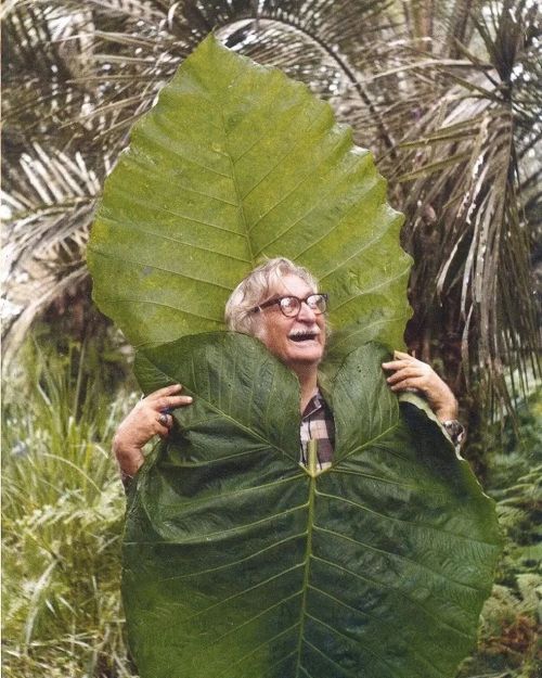 equatorjournal:  Roberto Burle Marx during a 1974 botanical expedition in Ecuador.  “Garden designer Burle Marx, a passionate ecologist,  was born in São Paulo, Brazil. After finishing high school he went to Germany and studied painting. It was in