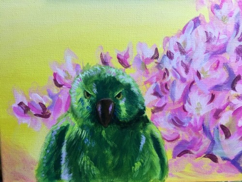 Day 8 out of 100 for the 100 day project.Angry birdAcrylic on canvas