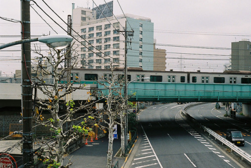 mizunokisu:FH000002 by Kazuhiko Miyata on Flickr.