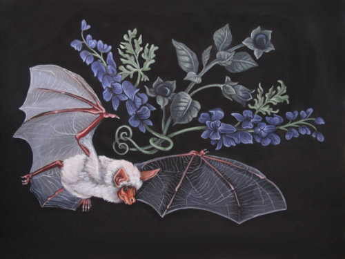 etsycult:Flying Ointment 9x12&quot; Acrylic painting by SpiritedAnimals