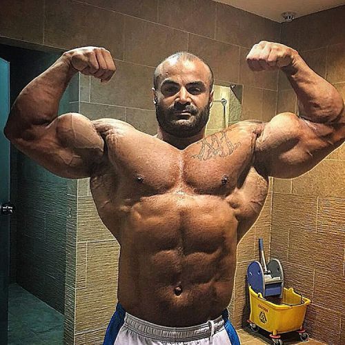 myfavoritemusclemen:  Hesam Aliakbar