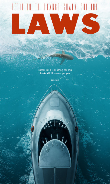 hisnamewasbeanni: ravenworks:  ronworkman:  Shark Culling Laws Poster Designed by Matteo Musci   tha