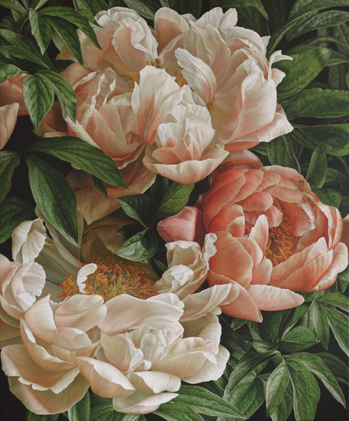 inividia:Coral Charm Peony II by Mia Tarney