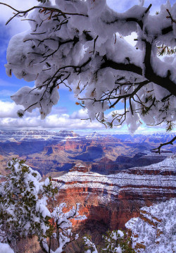 linodossantosme:  Grand Canyon, Arizona by