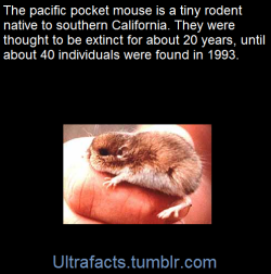 ultrafacts:  SourceFollow Ultrafacts for more facts