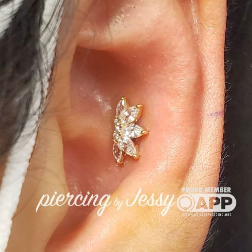 Check out this fresh Conch piercing!   Gorgeous jewelry by @buddhajewelryorganics  #valentina #buddh