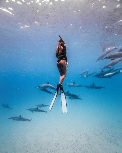 spearfishing-freediving-world - DopeBy @mrndapnda @galen.neil...