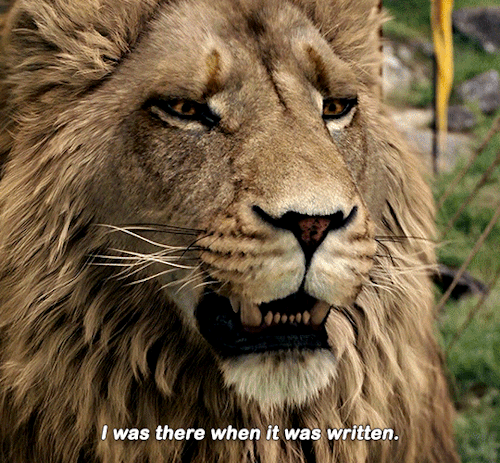 The Chronicles Of Narnia: The Lion, The Witch And The Wardrobe (2005) Dir. Andrew Adamson
